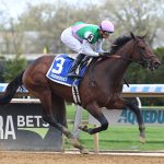 Garamond - Coglianese Photo