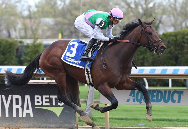 Garamond - Coglianese Photo
