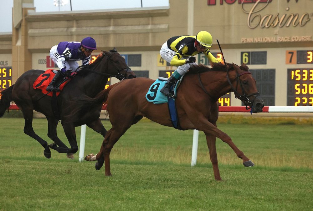 Laurelin - Penn Oaks at Penn National Racecourse - Photo By Taylor Ejdys-EQUI/PHOTO