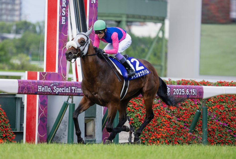 Meisho Tabaru - Takarazuka Kinen G1T - Mariguracing.com/Breeders Cup Media