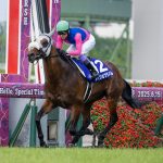 Meisho Tabaru - Takarazuka Kinen G1T - Mariguracing.com/Breeders Cup Media