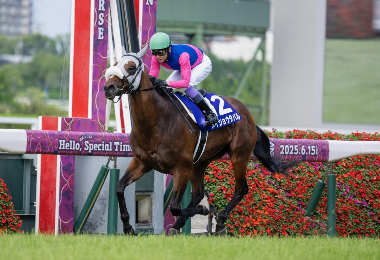 Meisho Tabaru - Takarazuka Kinen G1T - Mariguracing.com/Breeders Cup Media