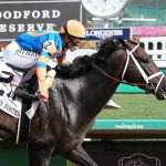 Mindframe - Stephen Foster Stakes - Coady Media