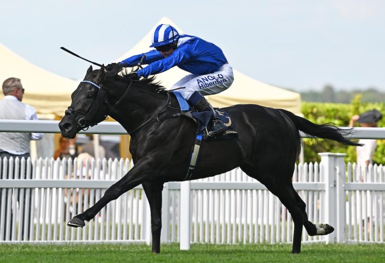 Mostahdaf - Prince Of Wales Stakes -credit Megan Ridgwell - Ascot Media