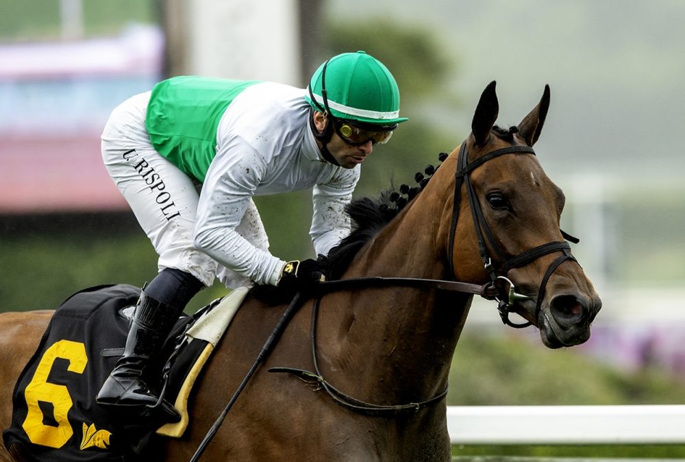 Mrs. Astor - Santa Barbara Stakes - Benoit Photo