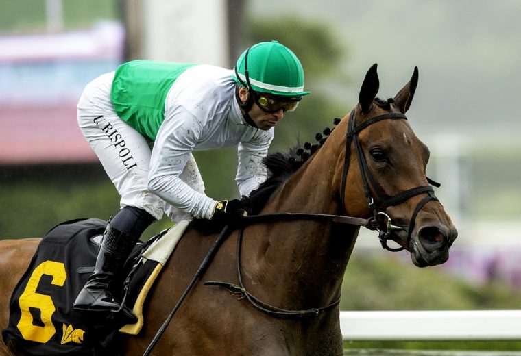 Mrs. Astor - Santa Barbara Stakes - Benoit Photo
