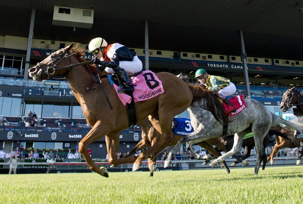Ocean Club - Nassau Stakes - Michael Burns