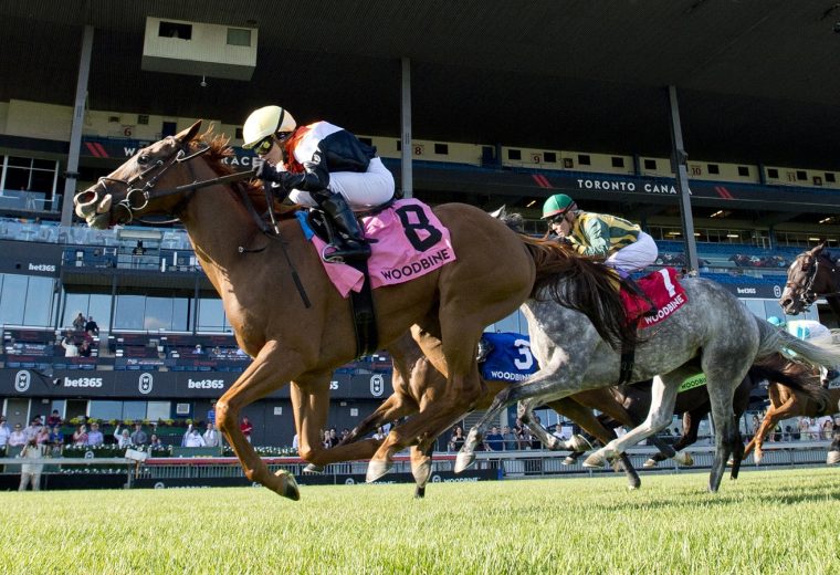 Ocean Club - Nassau Stakes - Michael Burns