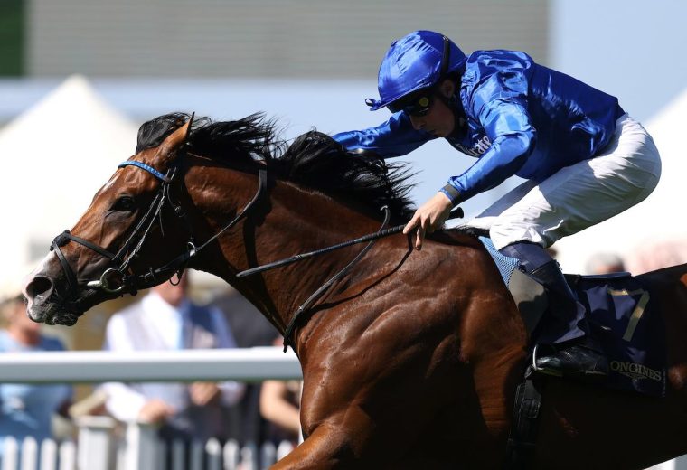 Ombudsman wins the Prince Of Wales's Stakes (credit: Megan Coggin-Ascot Media)