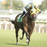 Patches O'Houlihan - Highlander Stakes G2 - Michael Burns