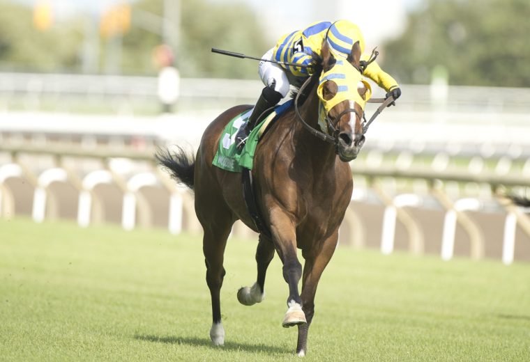 Patches O'Houlihan - Highlander Stakes G2 - Michael Burns