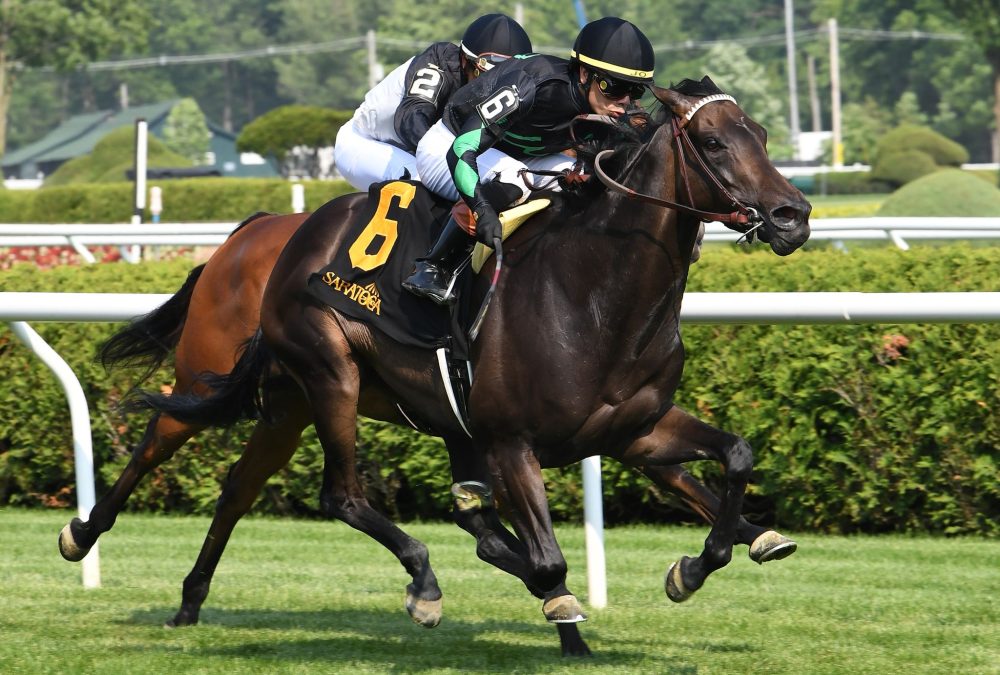 Pipsy - Intercontinental Stakes G2T - Coglianese Photo