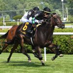 Pipsy - Intercontinental Stakes G2T - Coglianese Photo