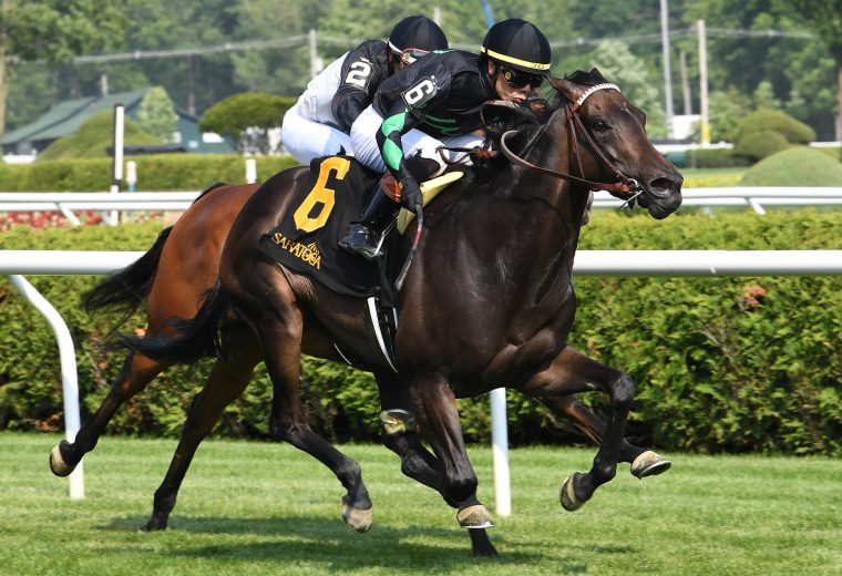 Pipsy - Intercontinental Stakes G2T - Coglianese Photo