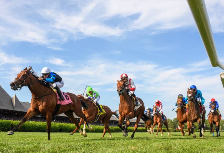 Pounce - Saratoga - Coglianese Photo