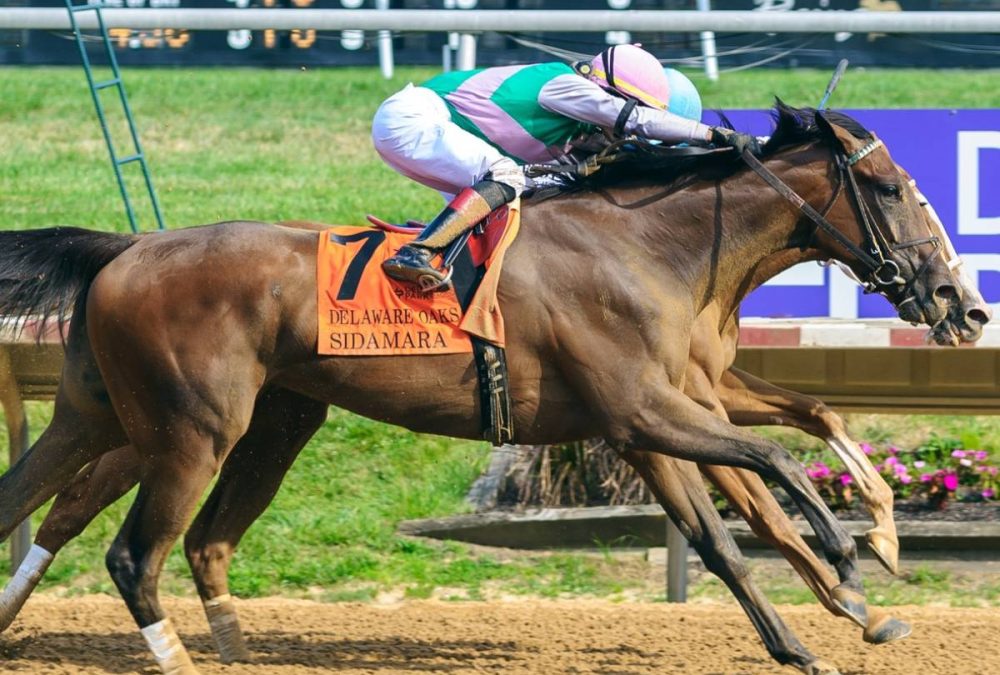 Power Squeeze - Delaware Oaks 2024 - Hoofprints Inc.