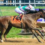 Power Squeeze - Delaware Oaks 2024 - Hoofprints Inc.