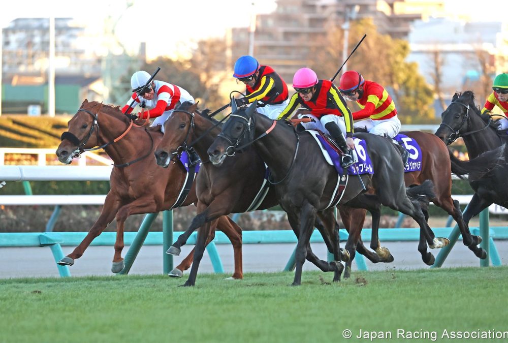 Regaleira - Arima Kinen 2024 - Japan Racing Association