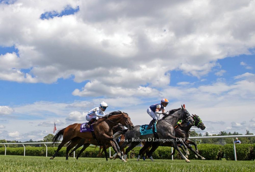Saratoga Racing Scene - Barbara D. Livingston - Daily Racing Form