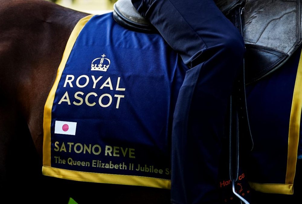 Satono Reve - John Hoy - Ascot Media
