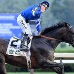 Sovereignty - Belmont Stakes G1 - Coglianese Photo