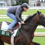 Sovereignty - Foto credito: Coglianese Photo / NYRA