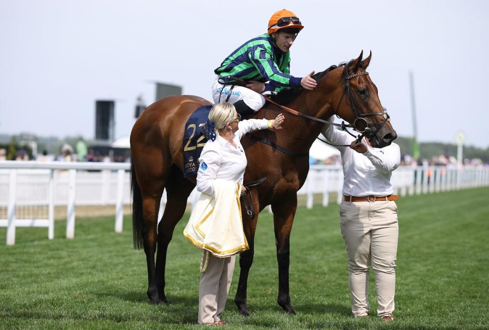 Time For Sandals after winning the Commonwealth Cup (credit :Megan Coggin-Ascot Media)