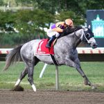Tuscan Sky - Pegasus Stakes 2024- Melissa Torres/EQUI-PHOTO