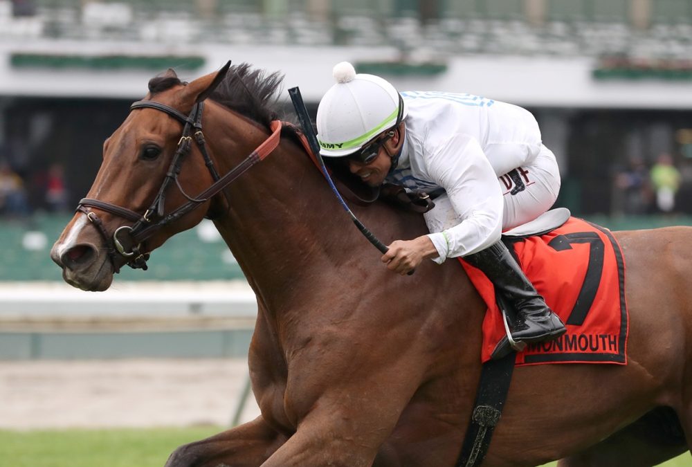 Whiskey Decision - Eatontown Stakes G3T - Bill Denver/EQUI-PHOTO