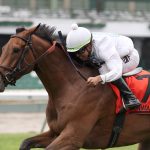 Whiskey Decision - Eatontown Stakes G3T - Bill Denver/EQUI-PHOTO