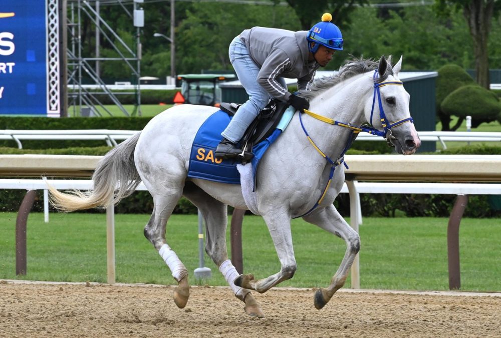 White Abarrio - Saratoga - Coglianese Photo