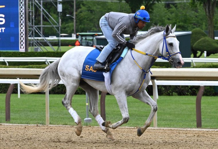 White Abarrio - Saratoga - Coglianese Photo