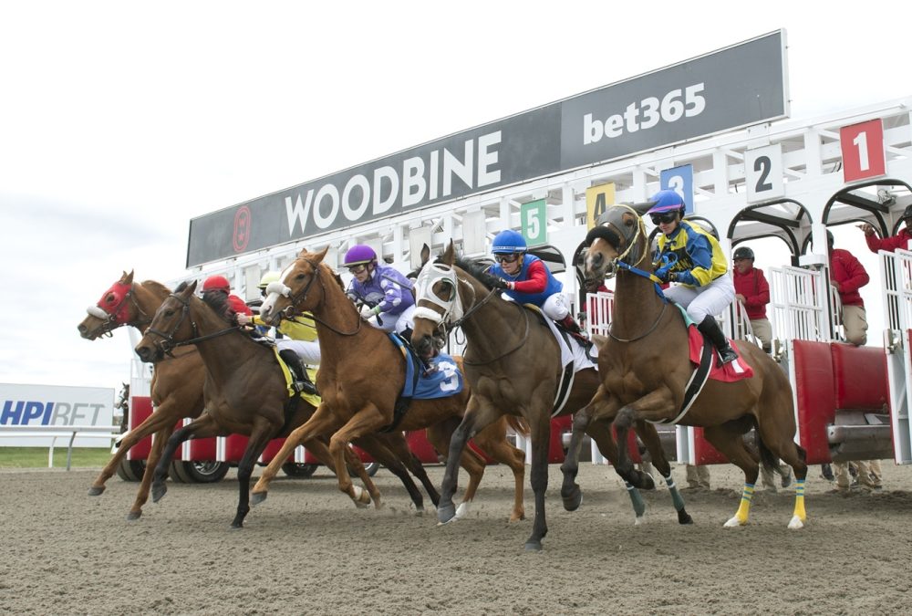 Woodbine Scenic Start - Michael Burns