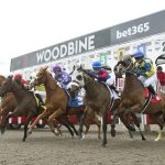 Woodbine Scenic Start - Michael Burns