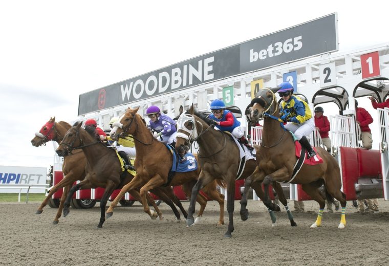 Woodbine Scenic Start - Michael Burns