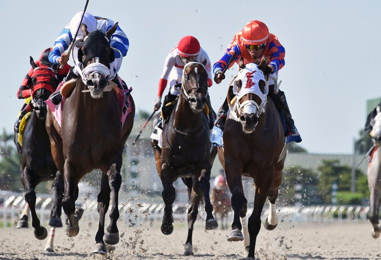 Foto: Ryan Thompson - Coglianese Photo
