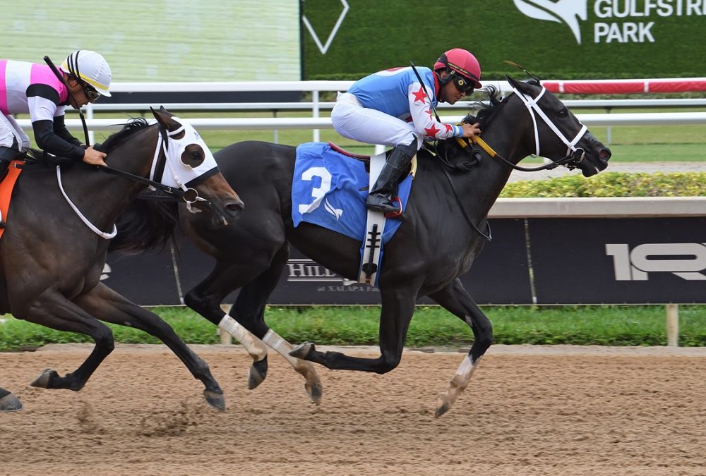 Andrea - Azalea Stakes - Ryan Thompson/Coglianese Photo