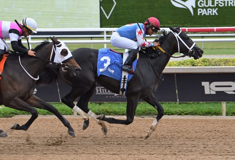 Andrea - Azalea Stakes - Ryan Thompson/Coglianese Photo