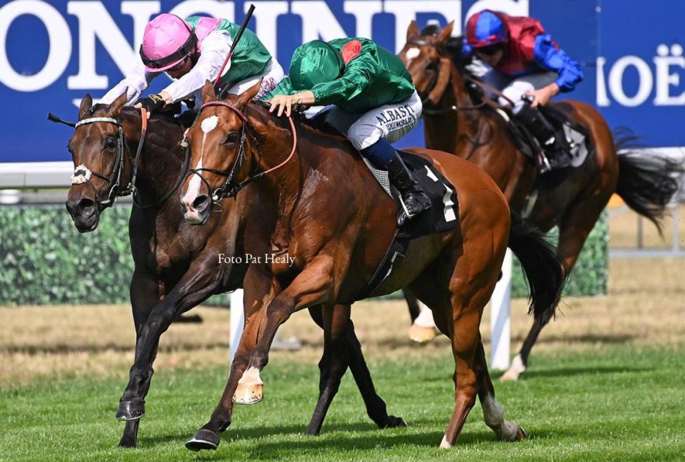 Calandagan - King George VI and Queen Elizabeth Stakes Grupo 1 - Foto Pat Healy
