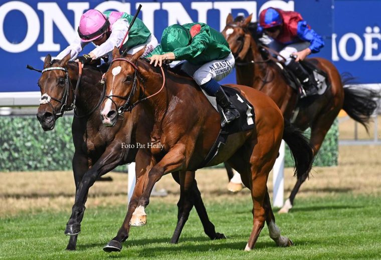 Calandagan - King George VI and Queen Elizabeth Stakes Grupo 1 - Foto Pat Healy