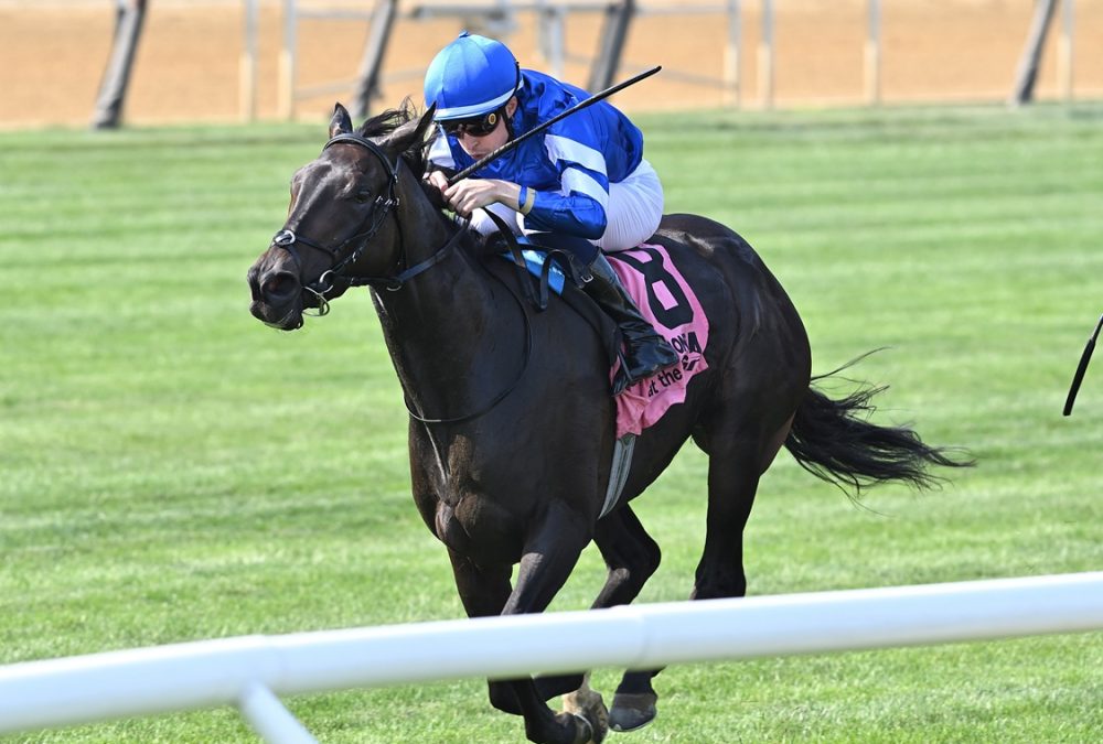 Cinderella's Dream - Joe Labozzetta/Coglianese Photo