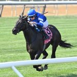 Cinderella's Dream - Joe Labozzetta/Coglianese Photo