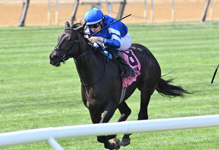 Cinderella's Dream - Joe Labozzetta/Coglianese Photo