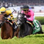 Classic Q- Photo credit Chelsea Durand - Coglianese Photo