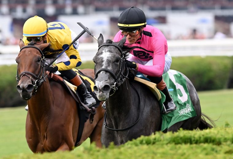 Classic Q- Photo credit Chelsea Durand - Coglianese Photo
