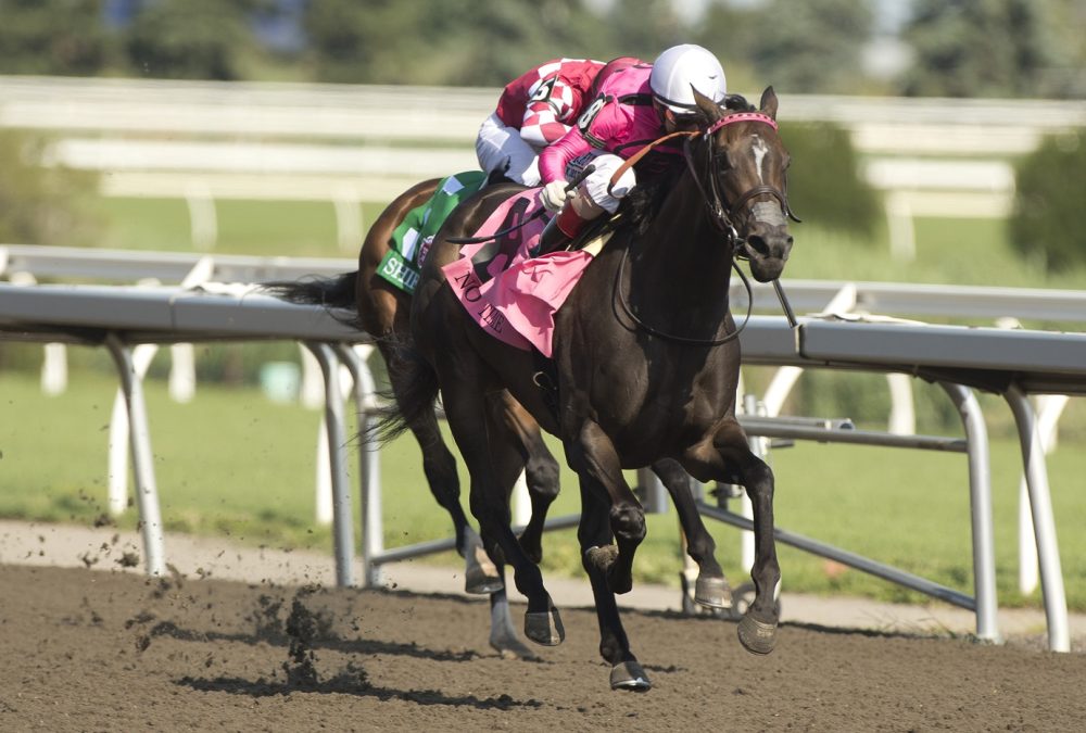 No Time - 70th Running of $500,000 Woodbine Oaks -Woodbine / Michael Burns Photo