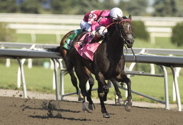 No Time - 70th Running of $500,000 Woodbine Oaks -Woodbine / Michael Burns Photo