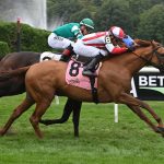 Early Adopter - Adam Coglianese - Coglianese Photo