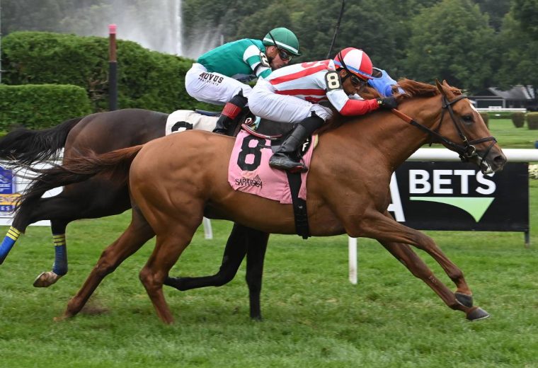Early Adopter - Adam Coglianese - Coglianese Photo