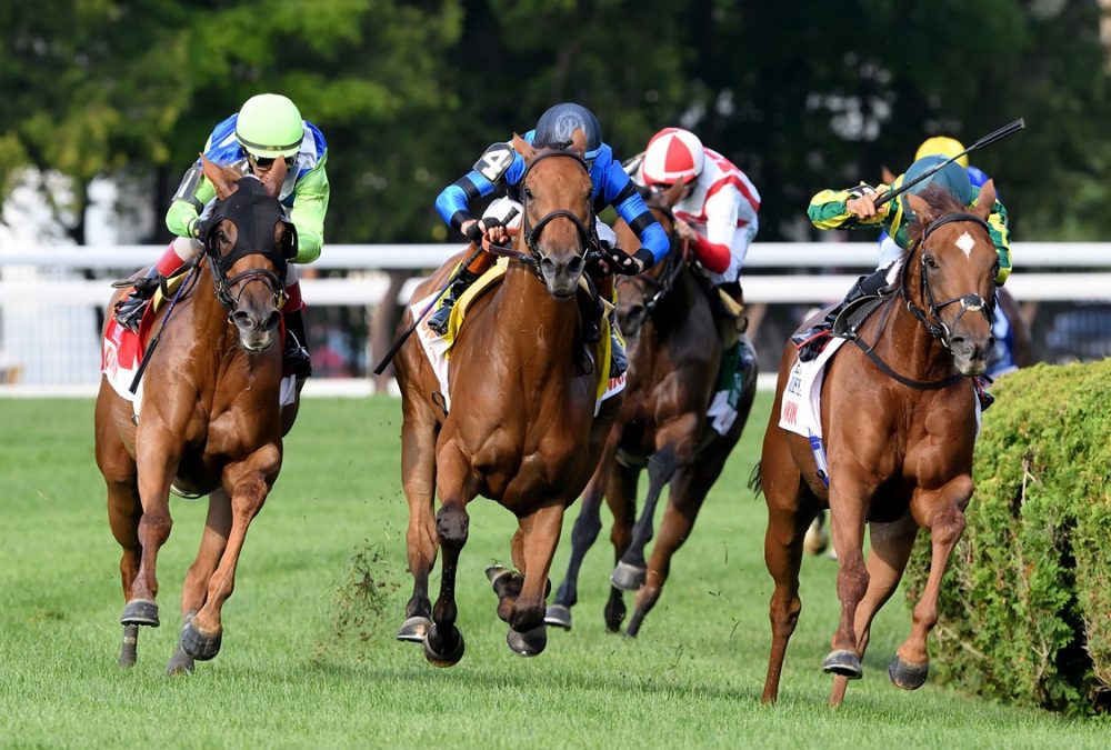 Excellent Truth - Coglianese Photo